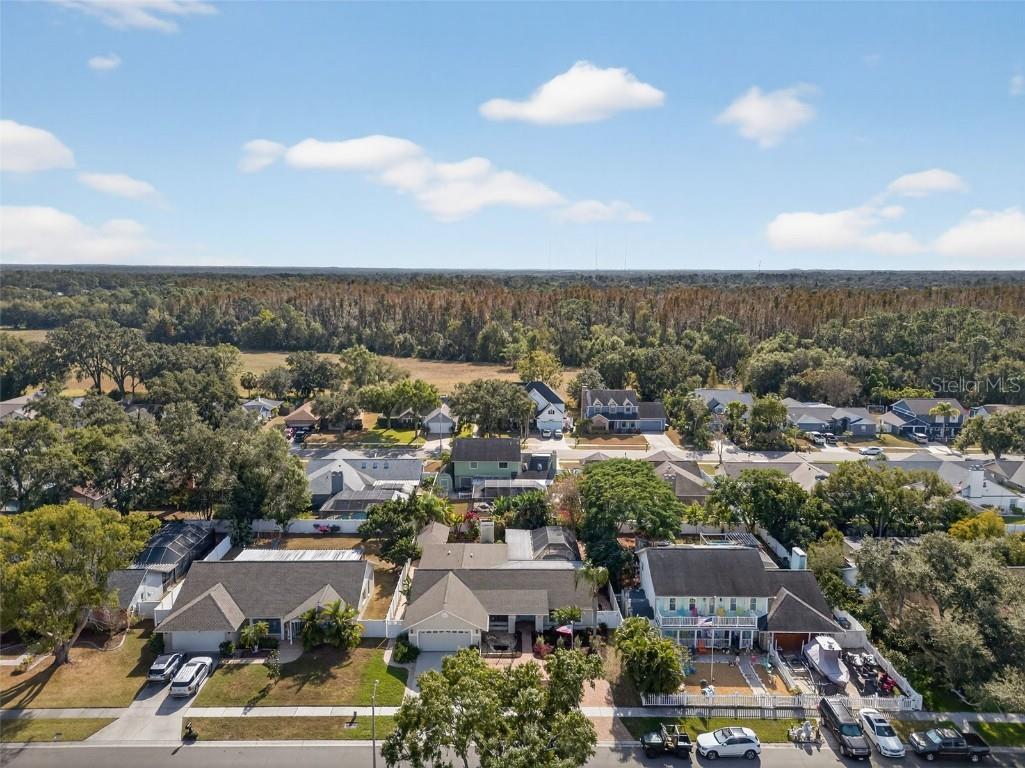 1609 Shady Leaf Drive Valrico FL 33596 TB8453780 image48