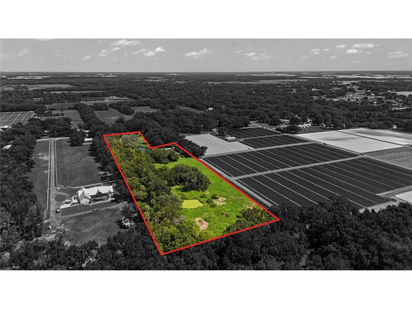 1609 Sparkman Road Plant City FL 33566 T3551984 image1