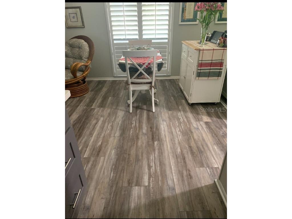 1609 Whitebridge Drive #C Palm Harbor FL 34684 G5104168 image11