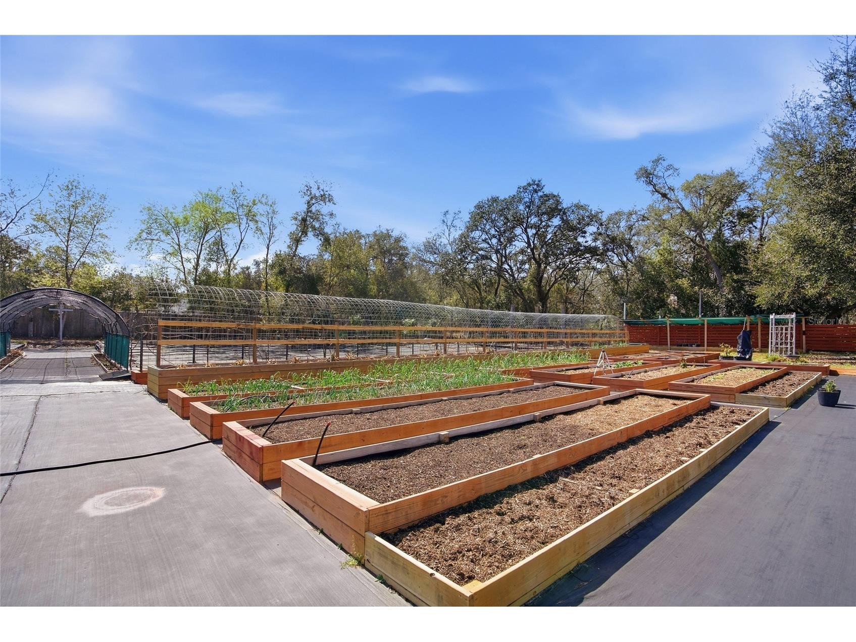 16090 Fringe Tree Drive Spring Hill FL 34610 TB8478134 image39