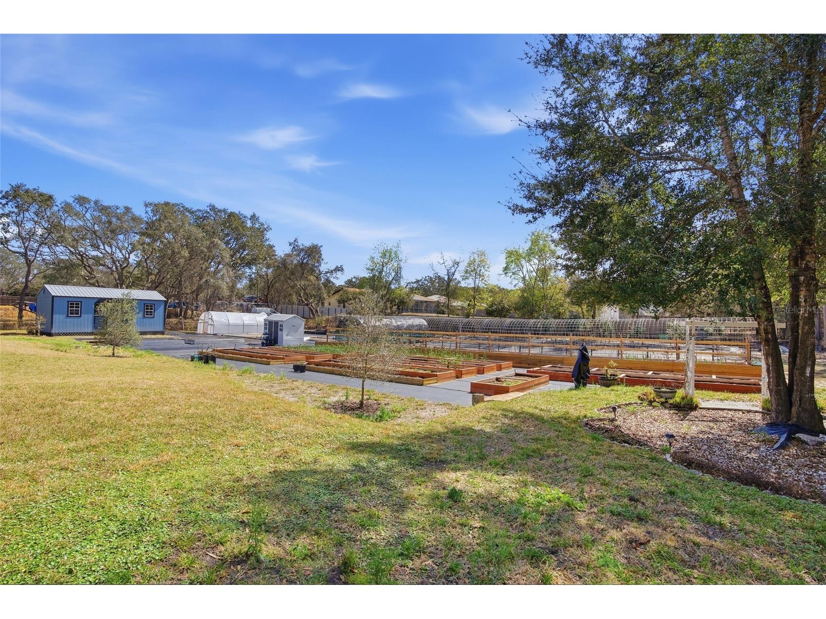 16090 Fringe Tree Drive Spring Hill FL 34610 TB8478134 image41