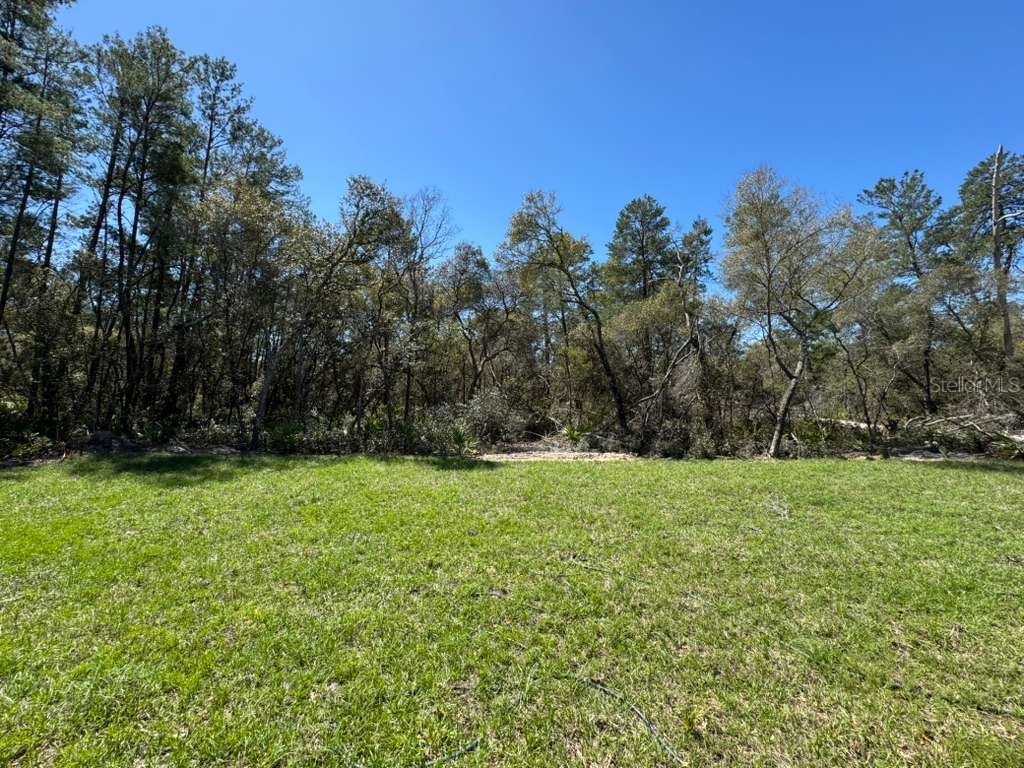 16090 SW 35th Court Road Ocala FL 34473 O6395060 image33