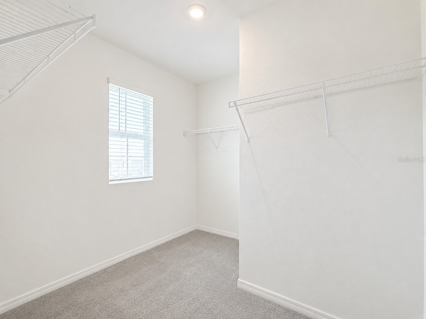 16091 Balboa Mist Court Odessa FL 33556 O6410651 image18
