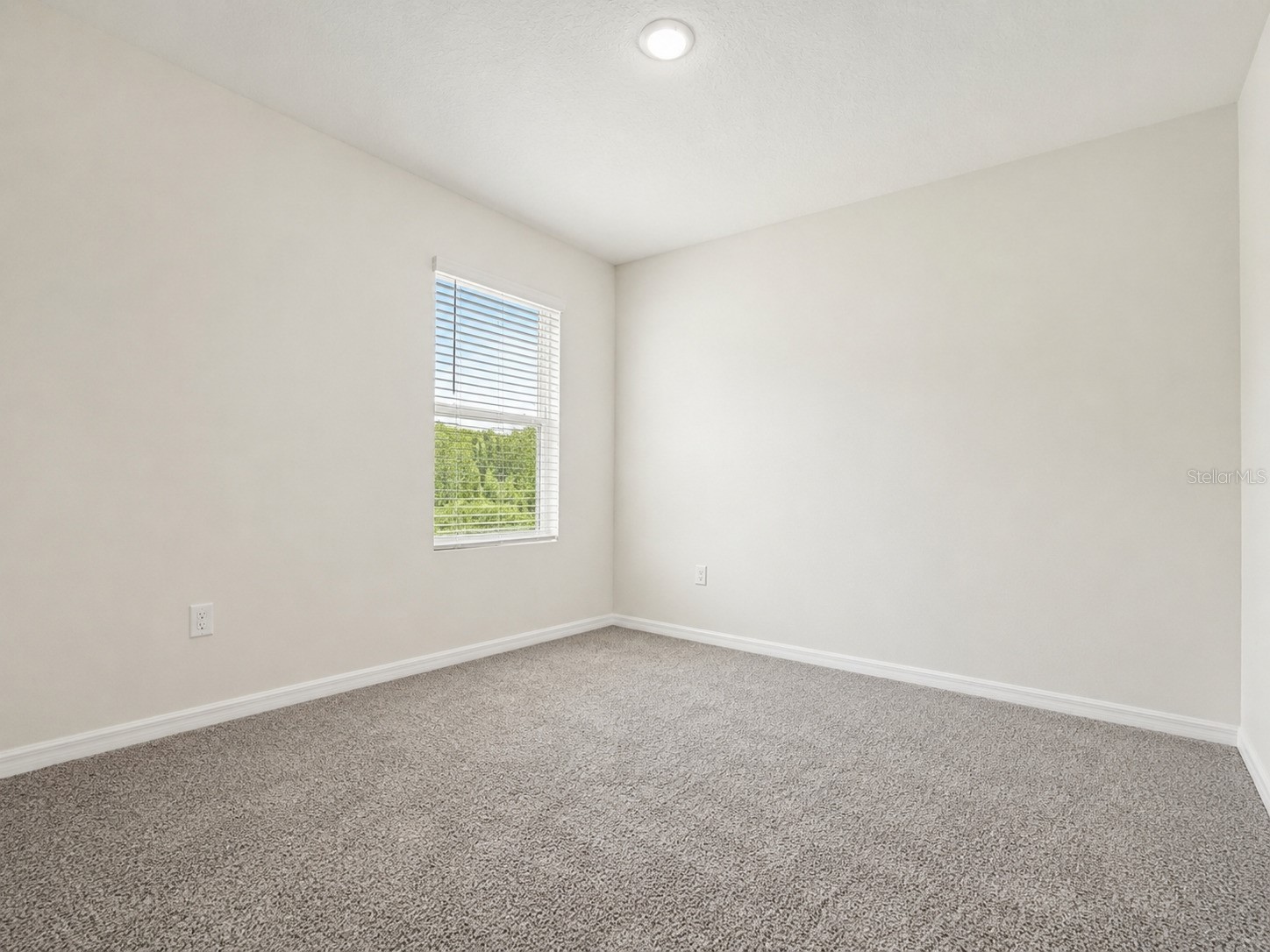 16091 Balboa Mist Court Odessa FL 33556 O6410651 image20