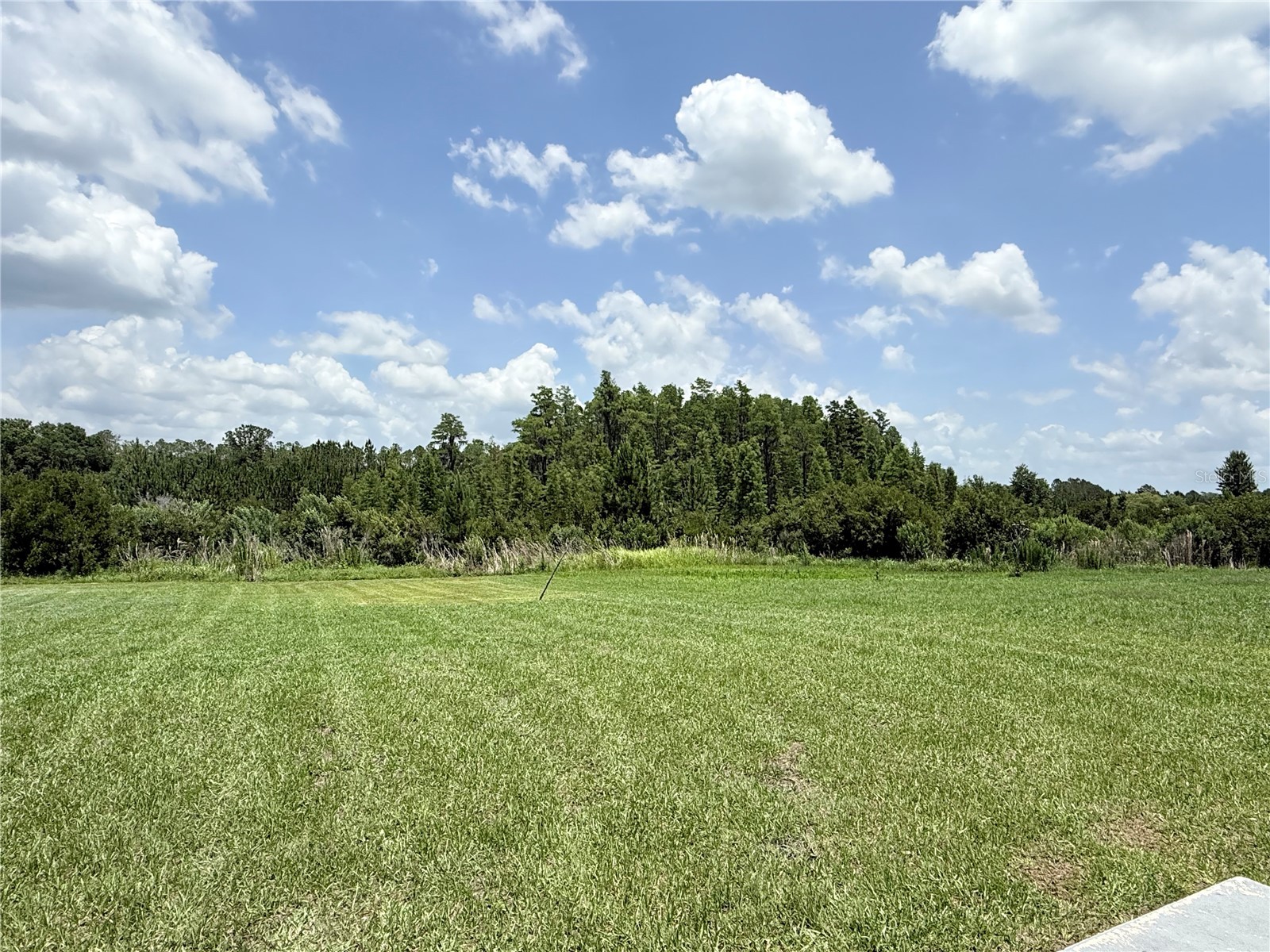 16091 Balboa Mist Court Odessa FL 33556 O6410651 image27