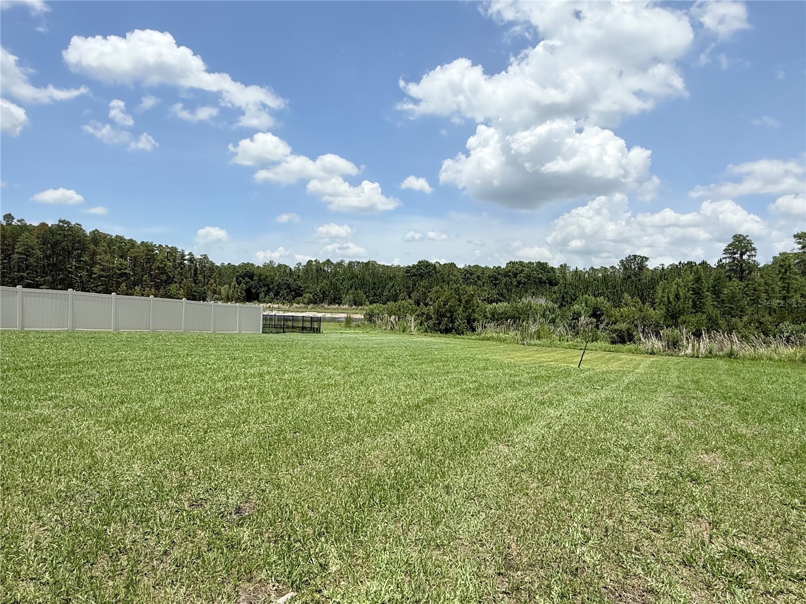 16091 Balboa Mist Court Odessa FL 33556 O6410651 image28