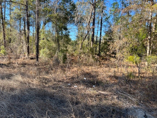 16091 SW 20th Lane Ocala FL 34481 GC537028 image1