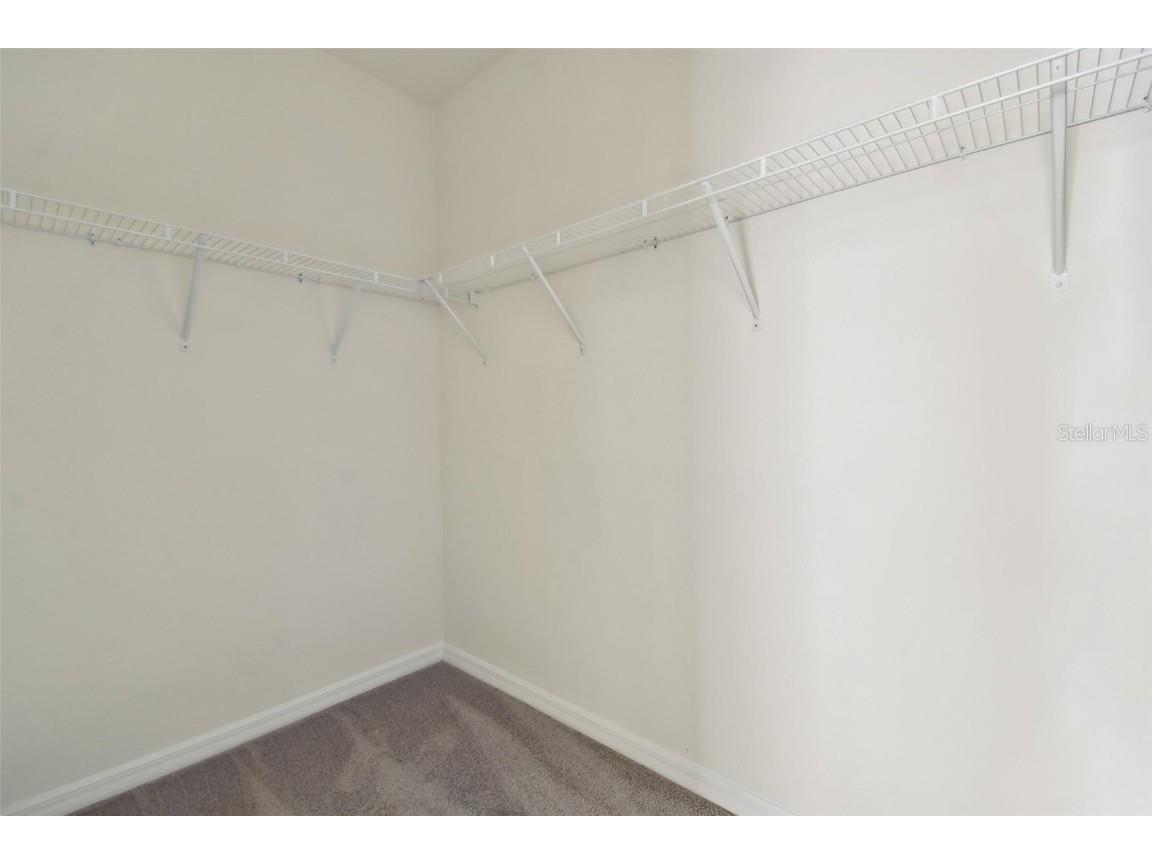 16096 Sunday Stroll Way Odessa FL 33556 TB8432196 image35