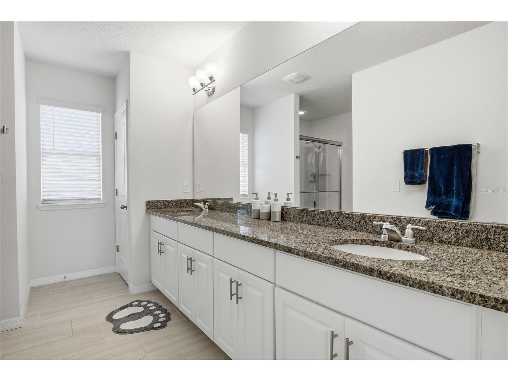 16098 Mangrove Road Winter Garden FL 34787 O6373125 image21