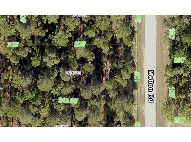 16099 Mellon Road Weeki Wachee FL 34614 W7864183 image1