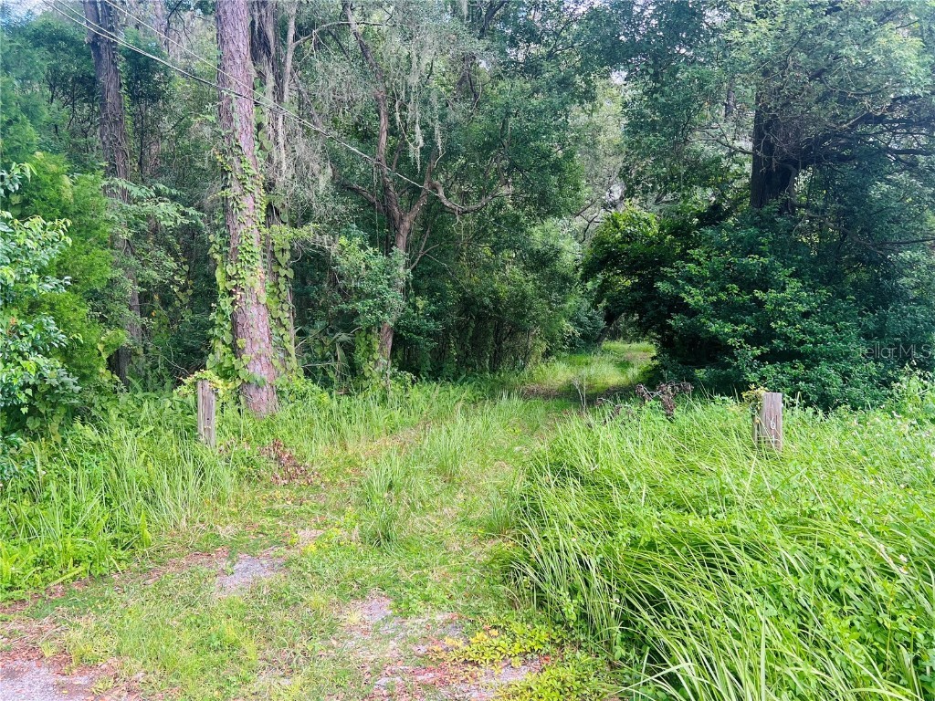 161 Brennan Street Brooksville FL 34601 W7858099 image1