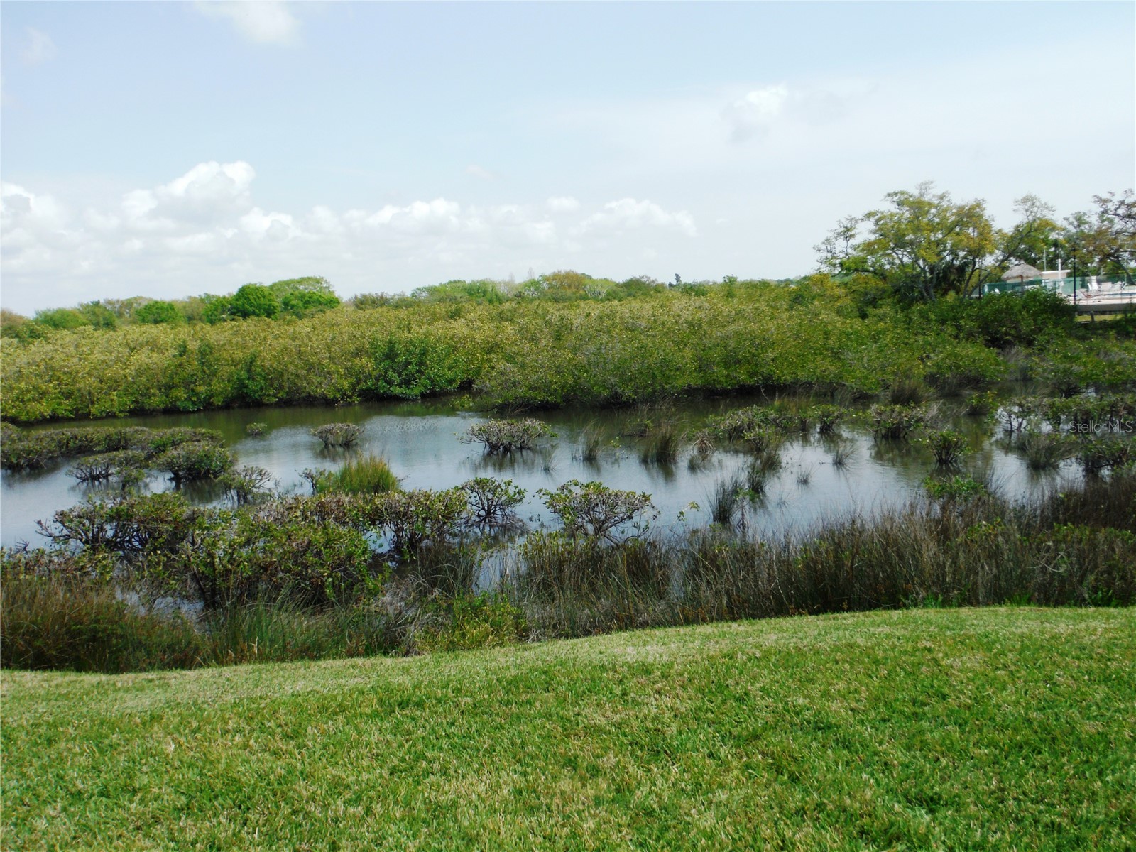 161 Clubview Drive #123 Safety Harbor FL 34695 TB8366946 image1