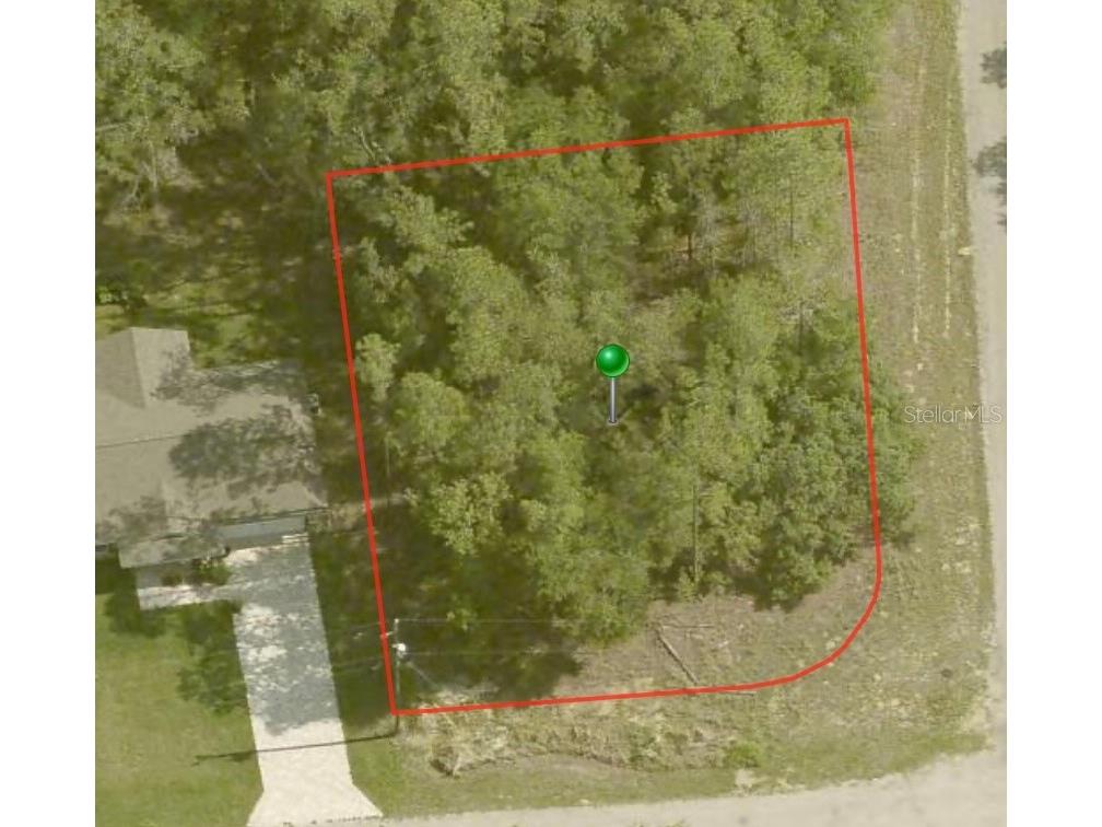 161 E Runic Lane Citrus Springs FL 34434 A4595899 image1