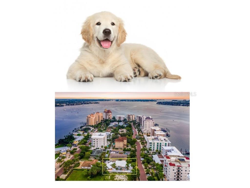 161 Golden Gate Point #1 Sarasota FL 34236 A4559333 image1