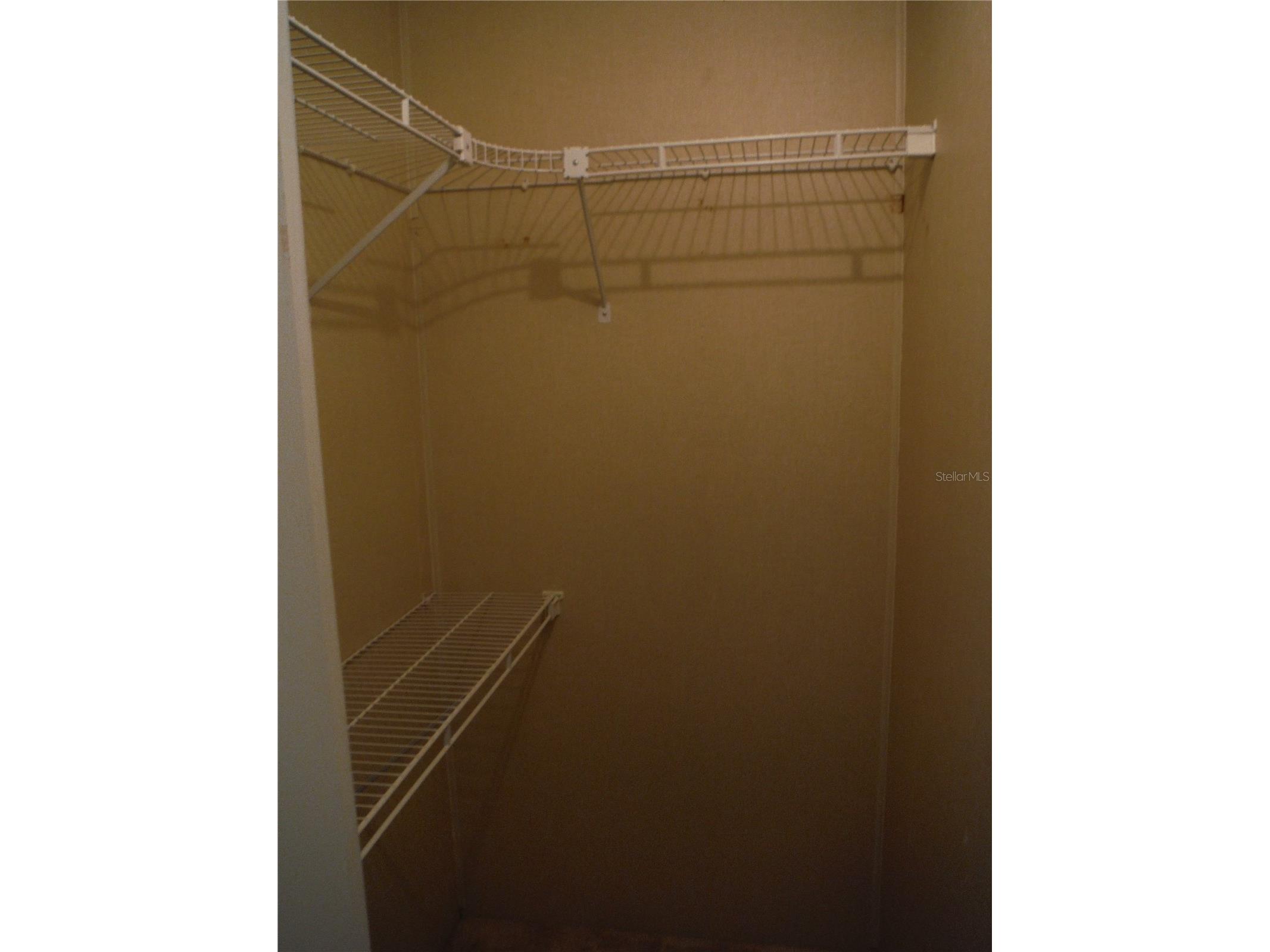 161 Hickory Gate Drive Palm Harbor FL 34684 TB8529193 image15