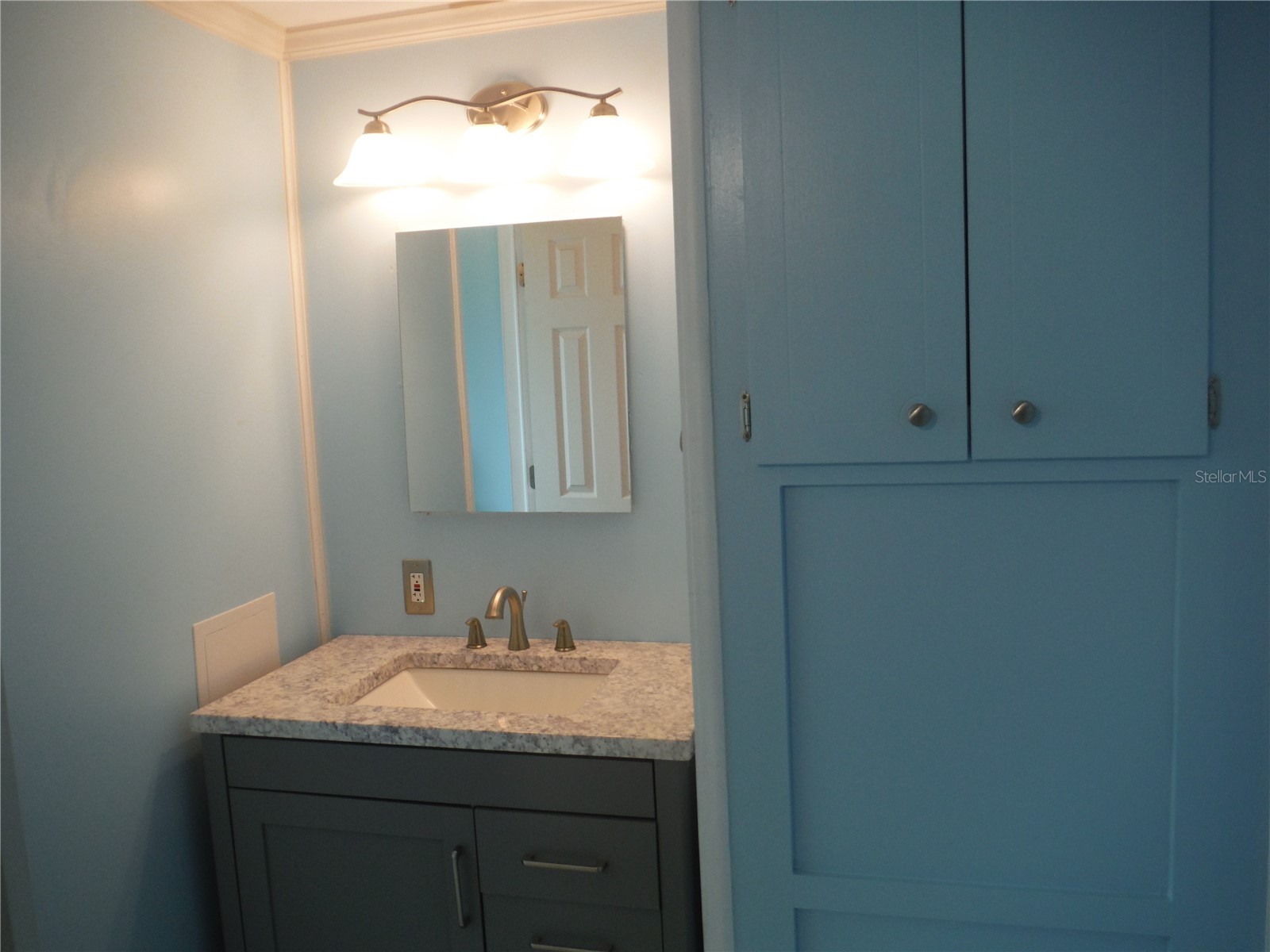 161 Hickory Gate Drive Palm Harbor FL 34684 TB8529193 image20