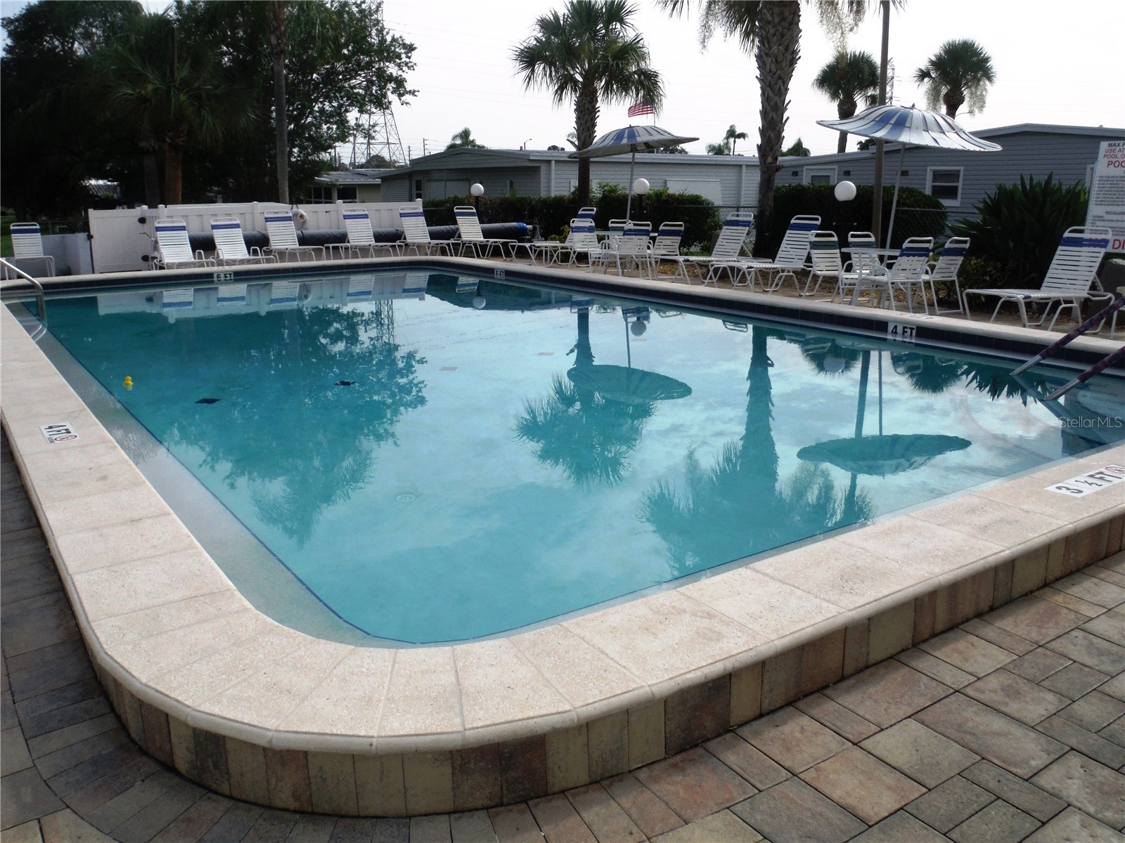 161 Hickory Gate Drive Palm Harbor FL 34684 TB8529193 image25