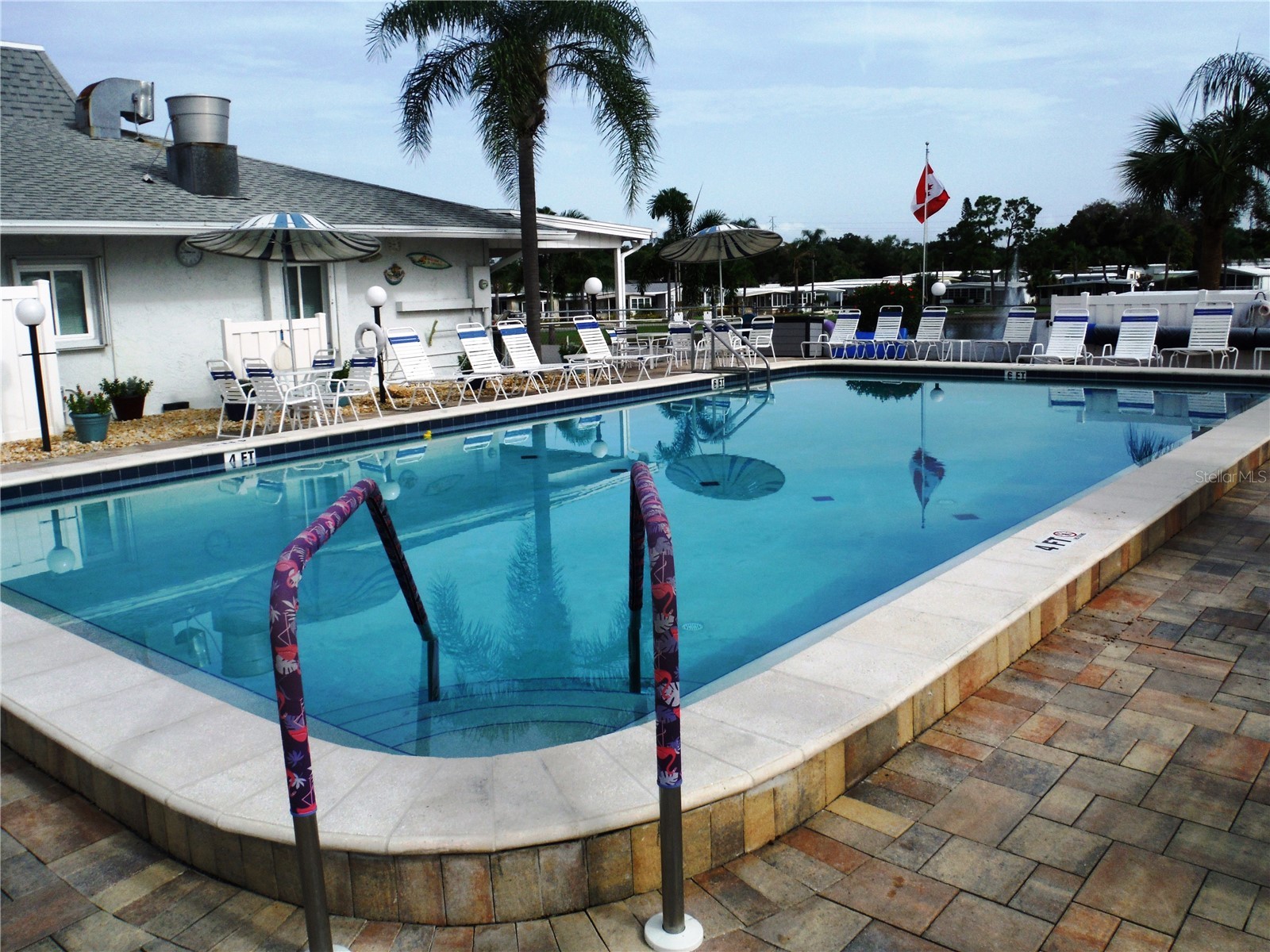 161 Hickory Gate Drive Palm Harbor FL 34684 TB8529193 image26