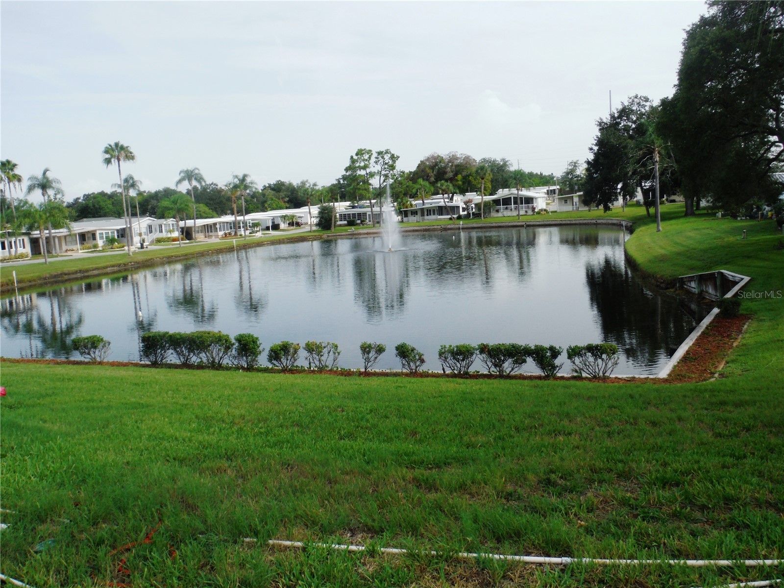161 Hickory Gate Drive Palm Harbor FL 34684 TB8529193 image29