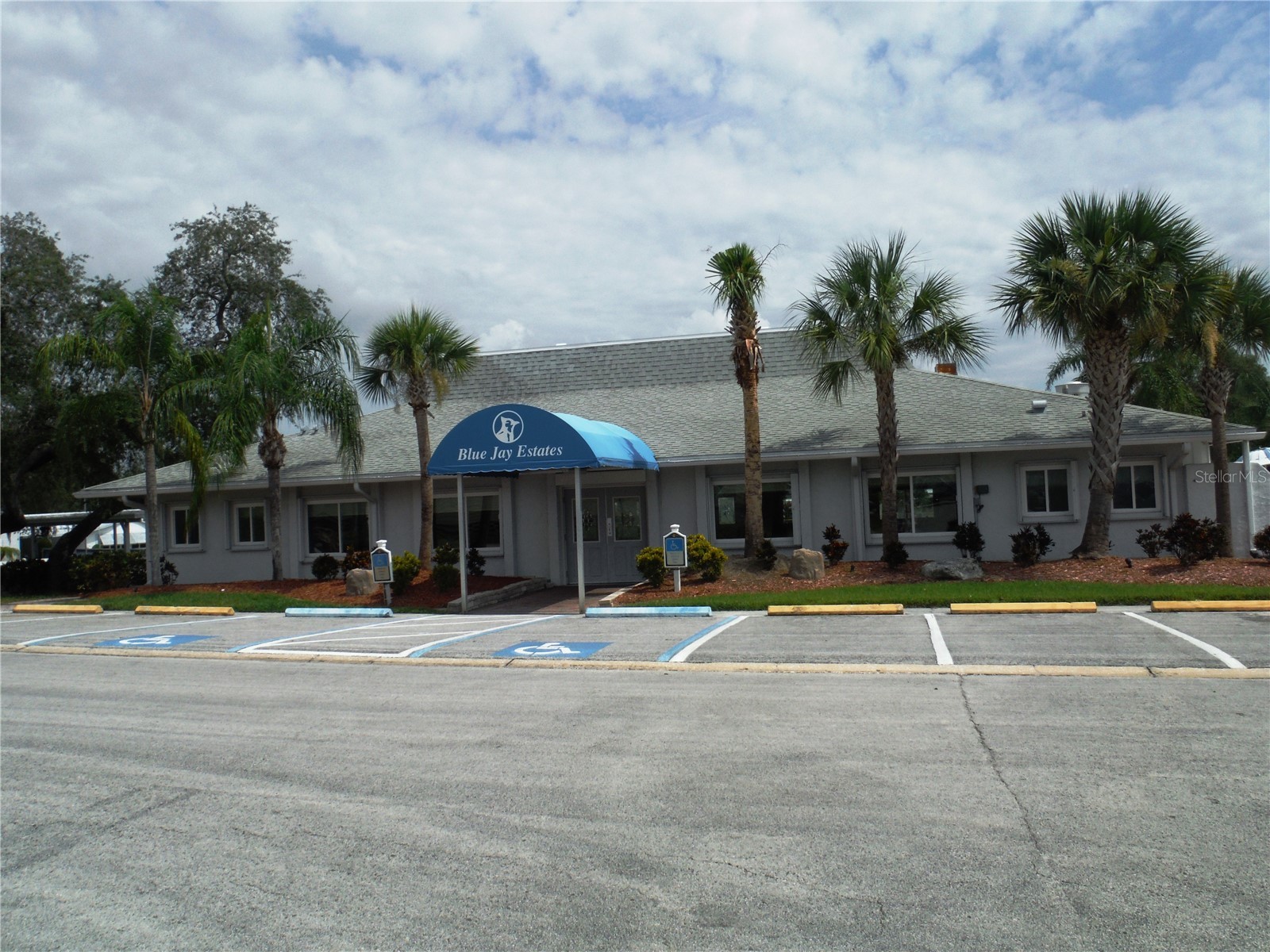 161 Hickory Gate Drive Palm Harbor FL 34684 TB8529193 image30