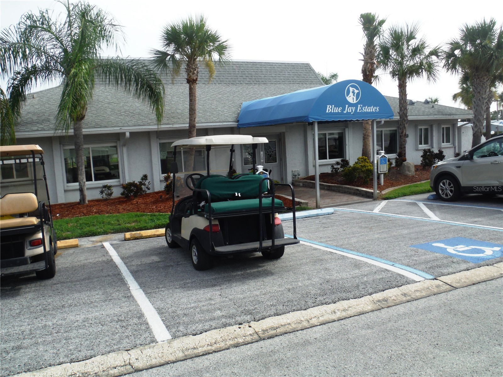 161 Hickory Gate Drive Palm Harbor FL 34684 TB8529193 image31