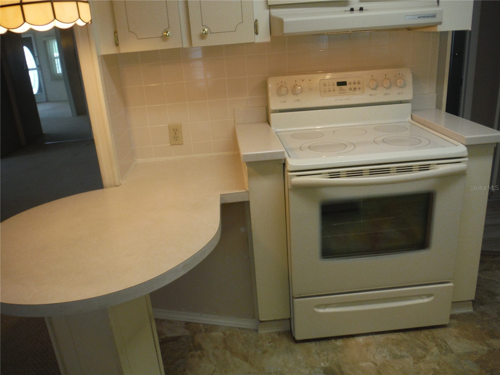 161 Hickory Gate Drive Palm Harbor FL 34684 TB8529193 image8