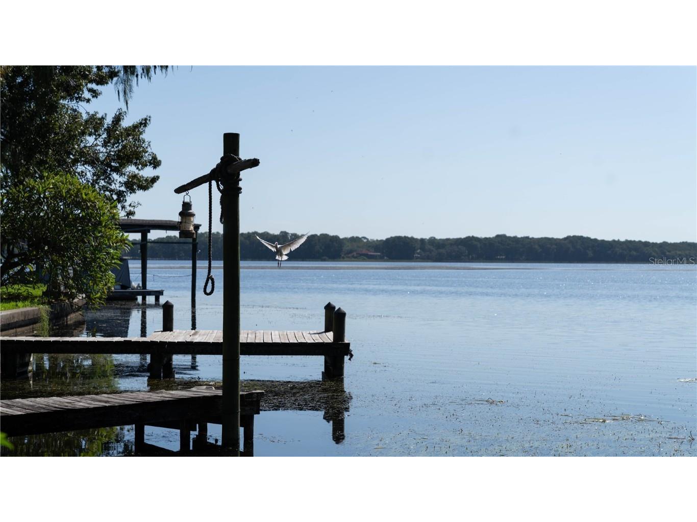 161 Lake Shore Drive W Palm Harbor FL 34684 TB8413048 image14