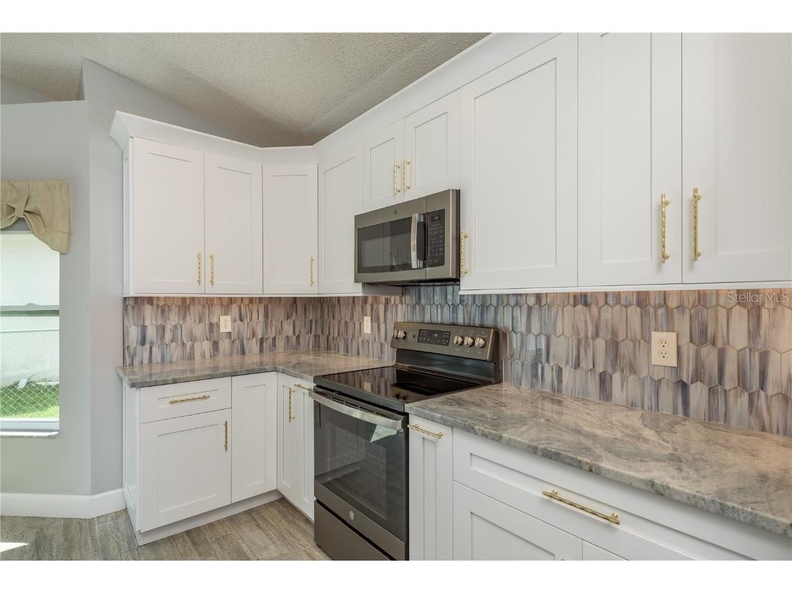 161 Lake Shore Drive W Palm Harbor FL 34684 TB8413048 image28