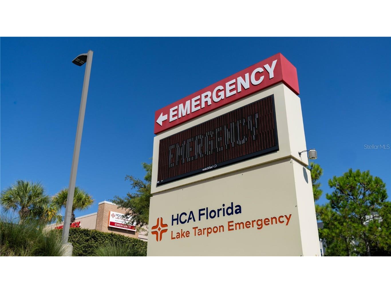 161 Lake Shore Drive W Palm Harbor FL 34684 TB8413048 image57