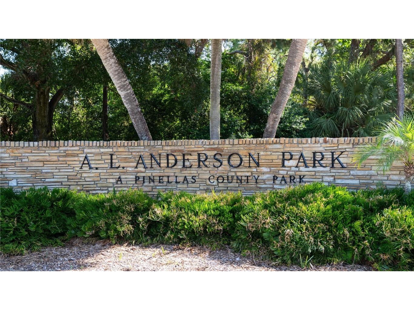 161 Lake Shore Drive W Palm Harbor FL 34684 TB8413048 image61