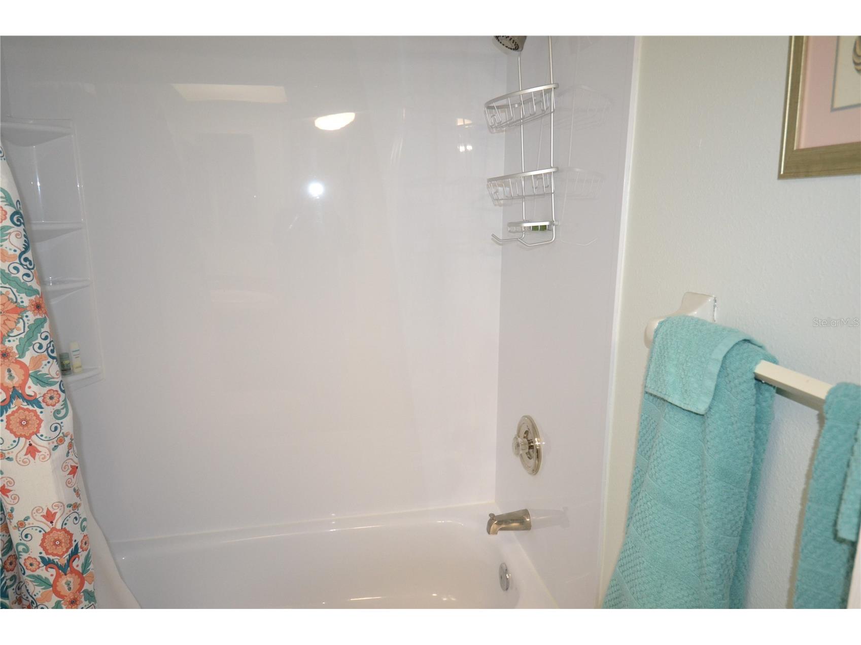 161 Lakeside Drive Oldsmar FL 34677 TB8511614 image13
