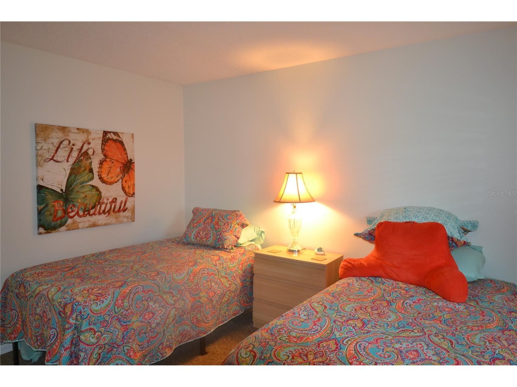 161 Lakeside Drive Oldsmar FL 34677 TB8511614 image16