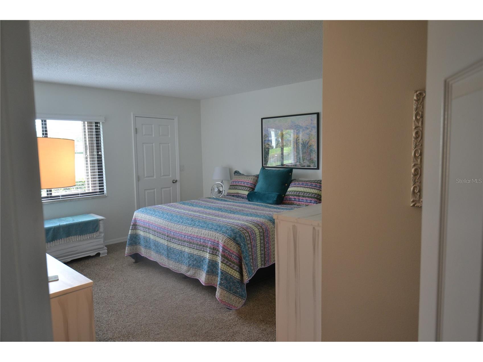 161 Lakeside Drive Oldsmar FL 34677 TB8511614 image19