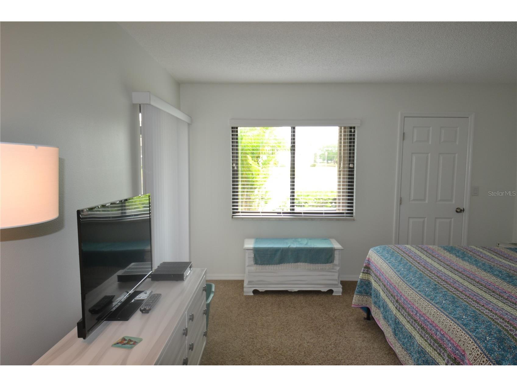 161 Lakeside Drive Oldsmar FL 34677 TB8511614 image20