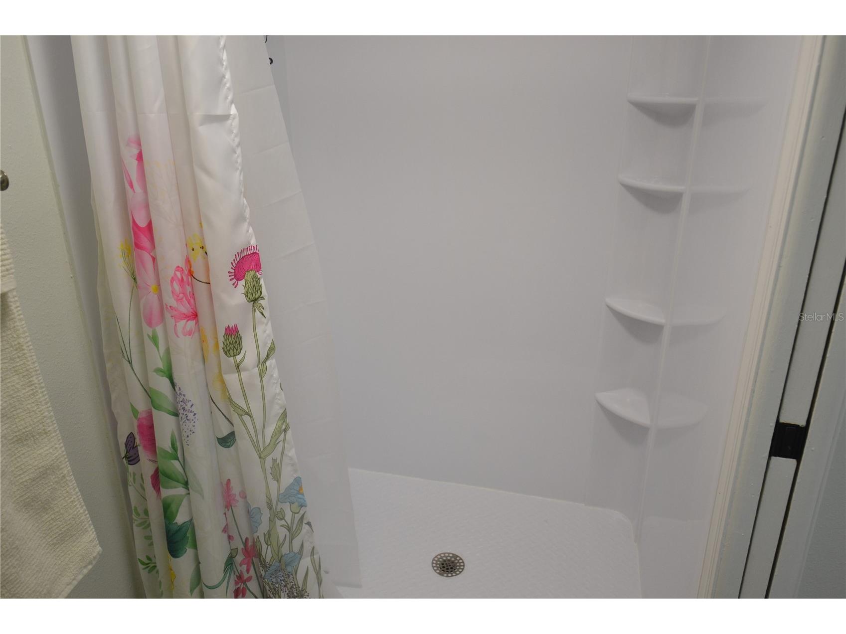 161 Lakeside Drive Oldsmar FL 34677 TB8511614 image26