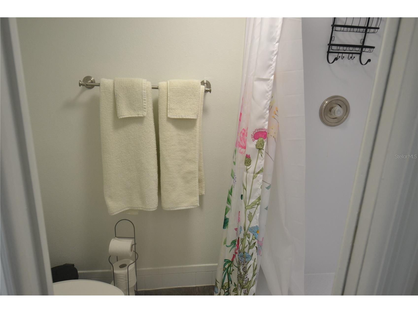 161 Lakeside Drive Oldsmar FL 34677 TB8511614 image27