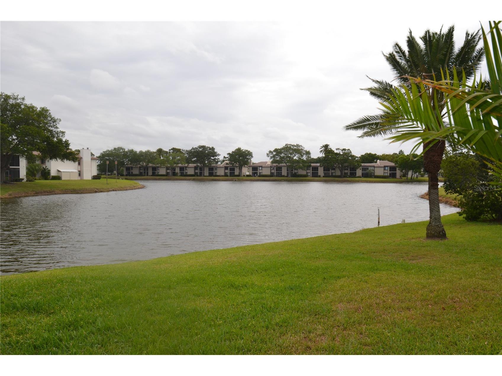 161 Lakeside Drive Oldsmar FL 34677 TB8511614 image41