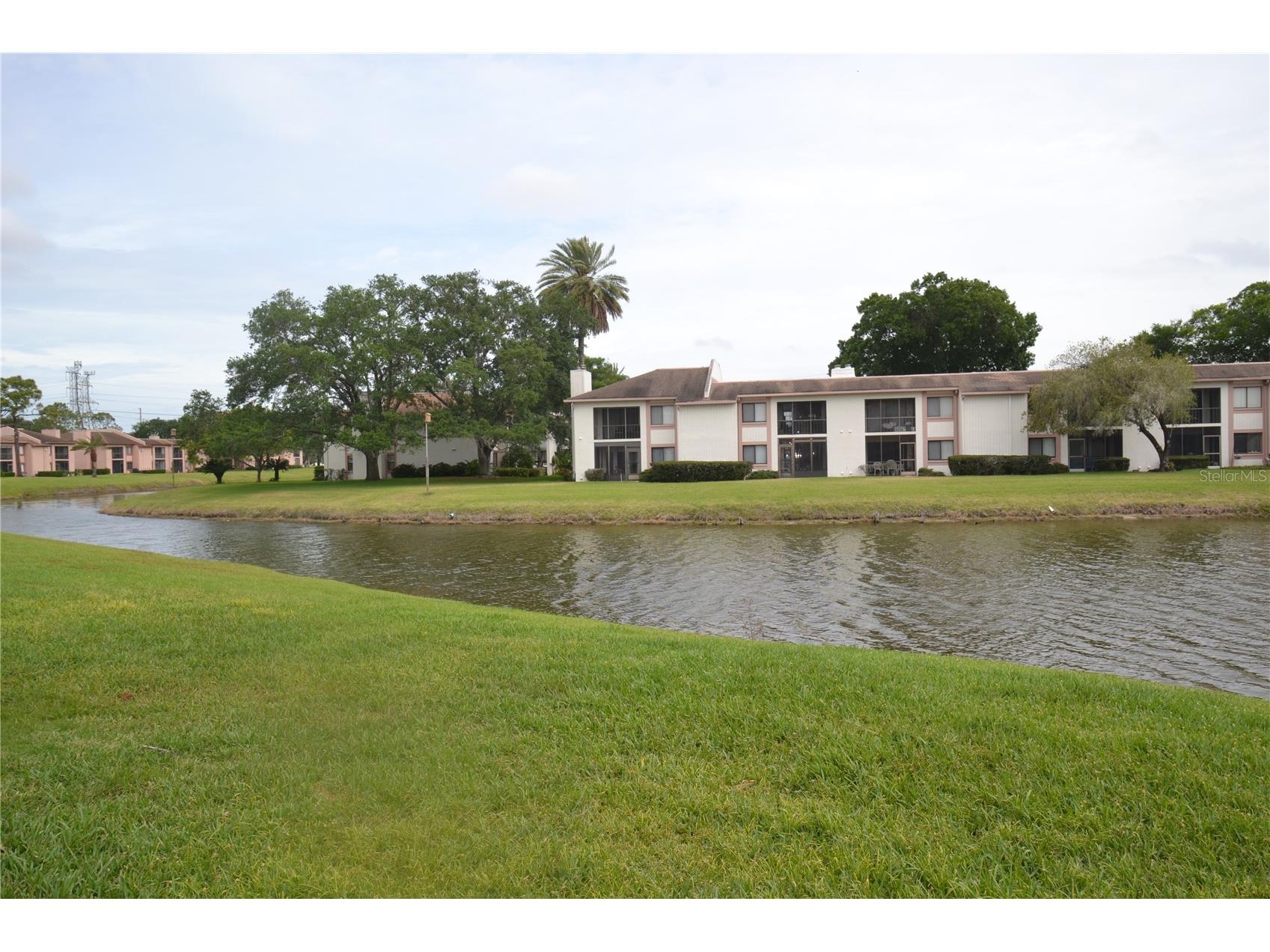 161 Lakeside Drive Oldsmar FL 34677 TB8511614 image42