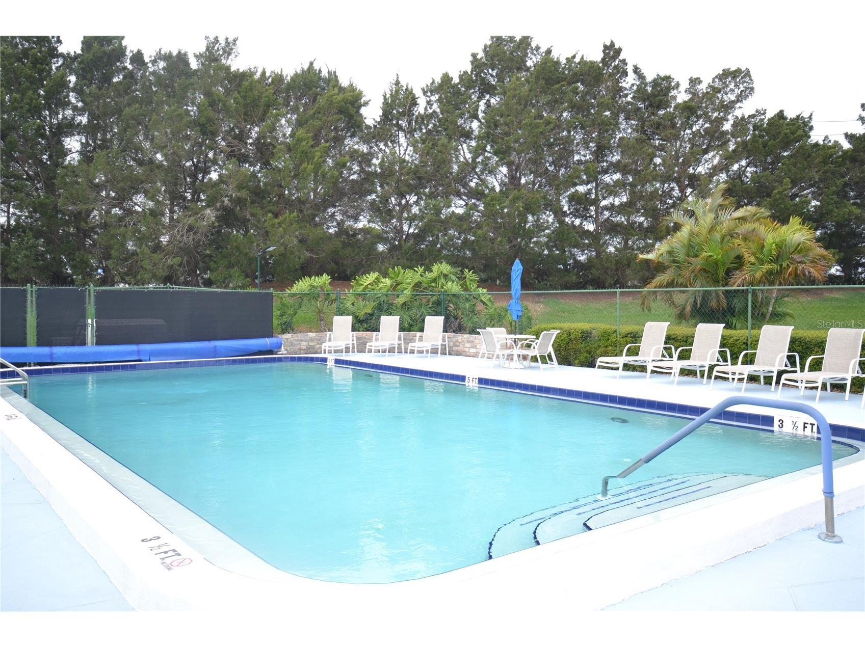 161 Lakeside Drive Oldsmar FL 34677 TB8511614 image43