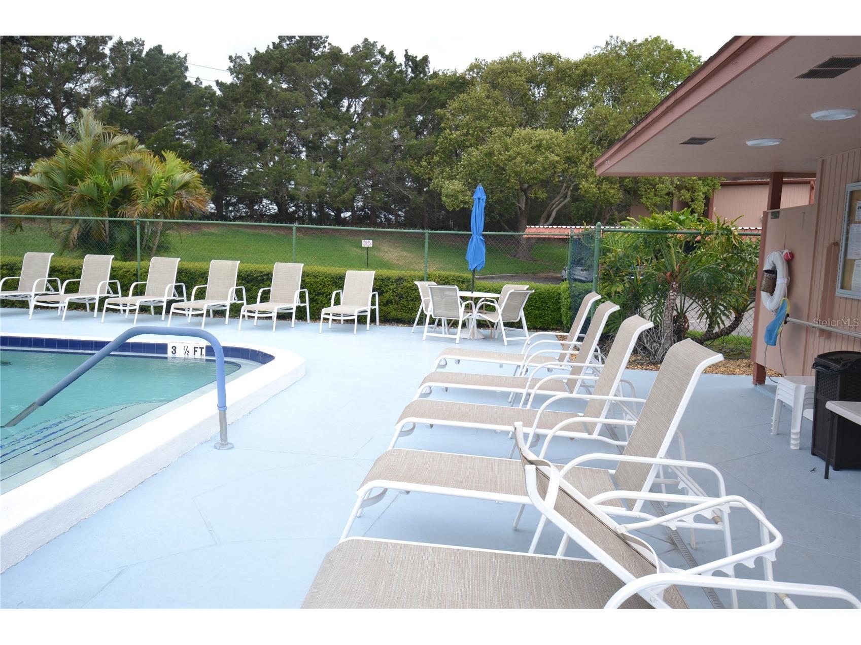 161 Lakeside Drive Oldsmar FL 34677 TB8511614 image44