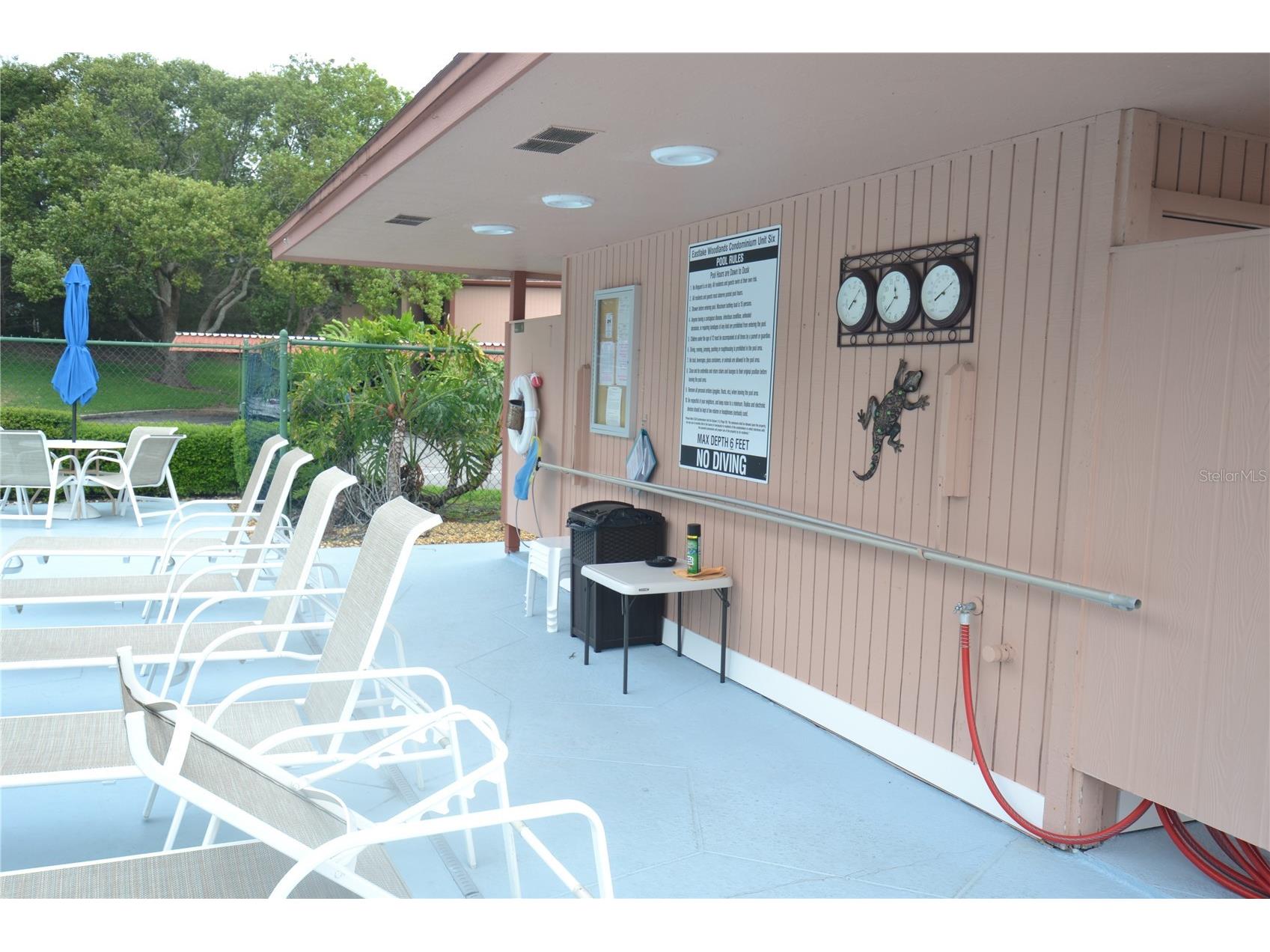 161 Lakeside Drive Oldsmar FL 34677 TB8511614 image45