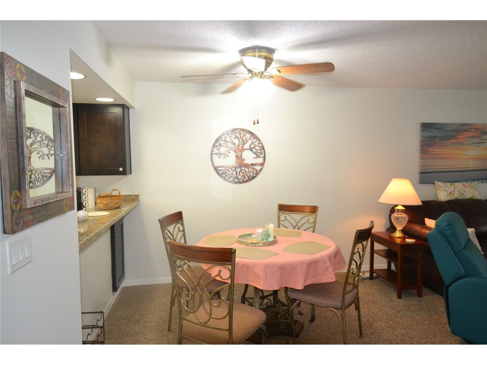 161 Lakeside Drive Oldsmar FL 34677 TB8511614 image7