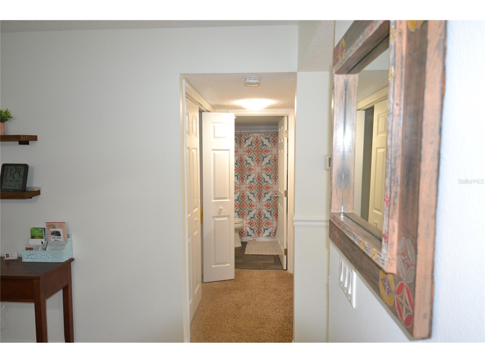 161 Lakeside Drive Oldsmar FL 34677 TB8511614 image9