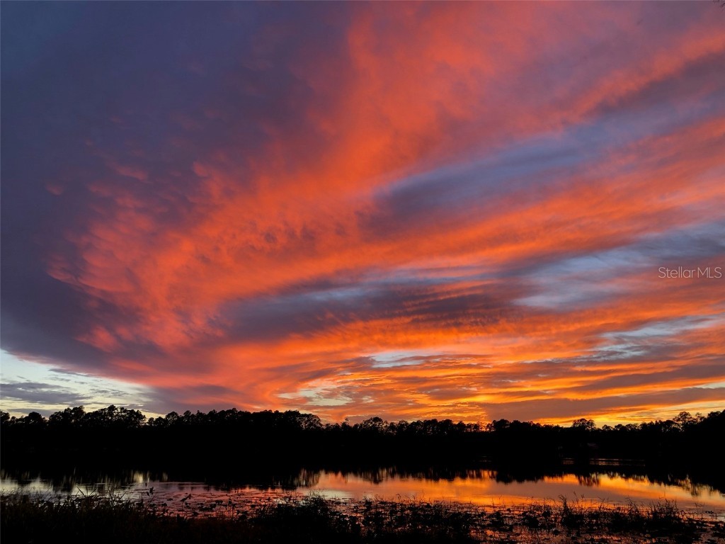 161 Riley Lake Drive Hawthorne FL 32640 - Riley Lake OM715297 image1