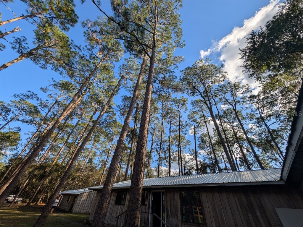 161 Riley Lake Drive Hawthorne FL 32640 - Riley Lake OM715297 image17