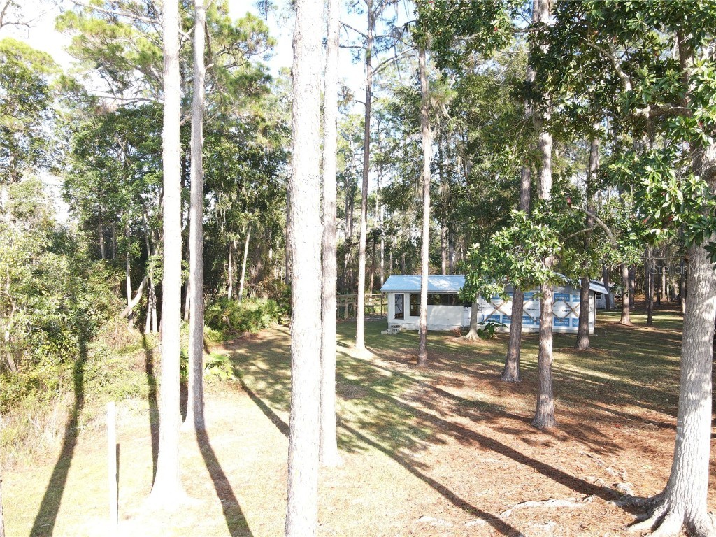 161 Riley Lake Drive Hawthorne FL 32640 - Riley Lake OM715297 image3