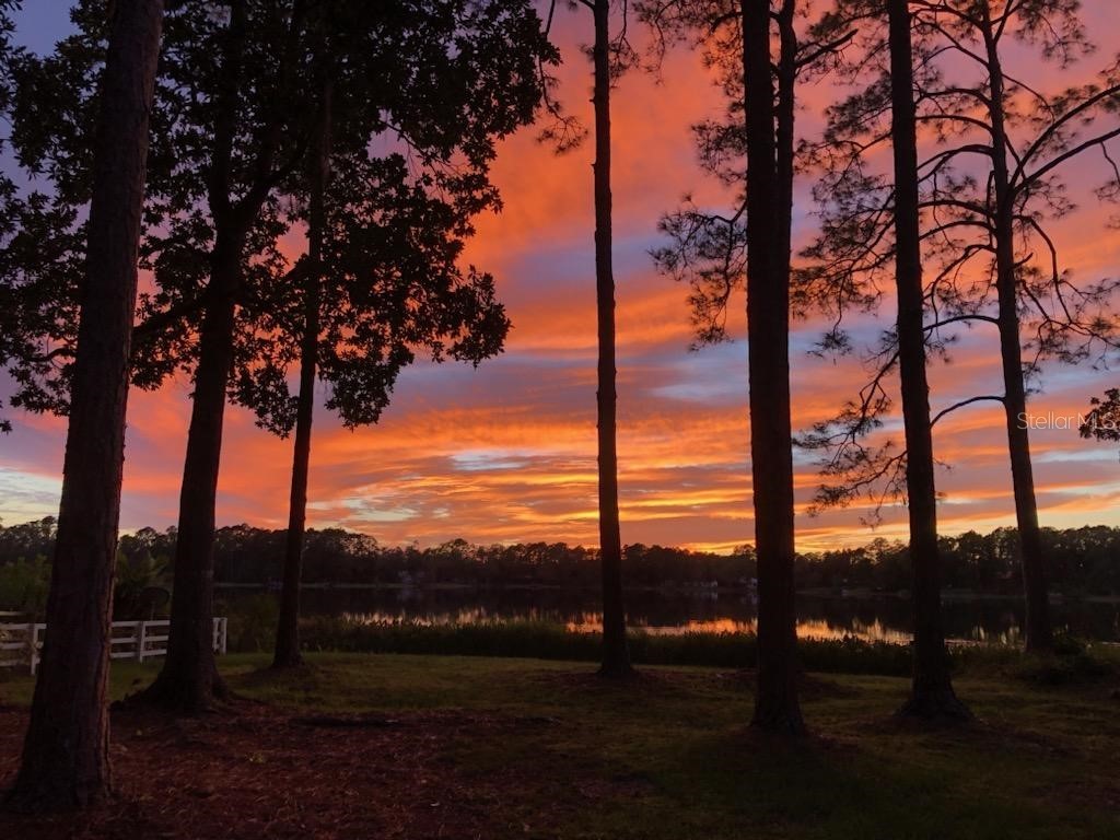 161 Riley Lake Drive Hawthorne FL 32640 - Riley Lake OM715297 image5