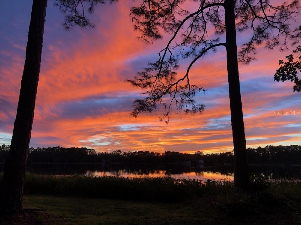 161 Riley Lake Drive Hawthorne FL 32640 - Riley Lake OM715297 image6