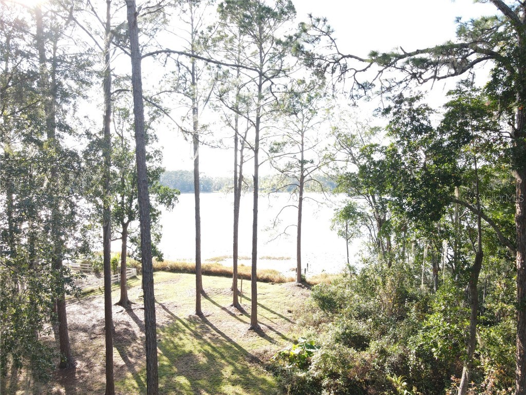 161 Riley Lake Drive Hawthorne FL 32640 - Riley Lake OM715297 image9