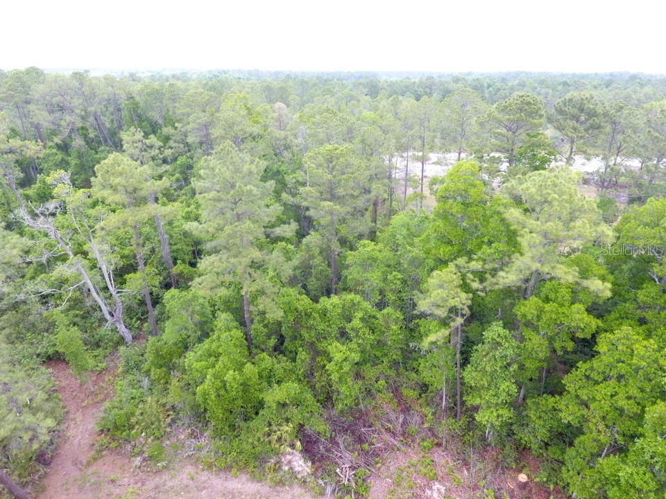 161 Snake Hill Road Crescent City FL 32112 V4948566 image3